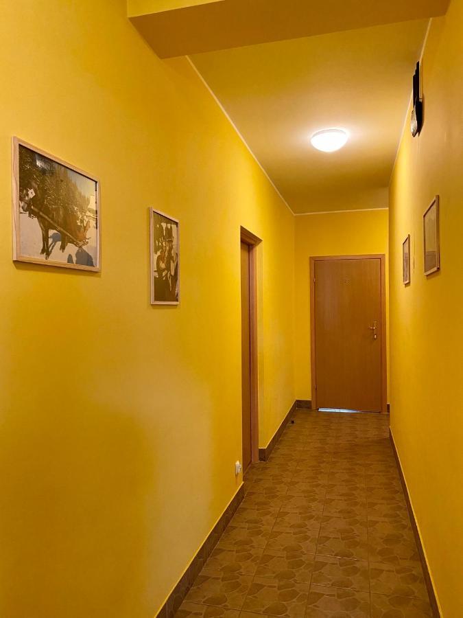 Na Kosnych Apartment Poronin Exterior foto